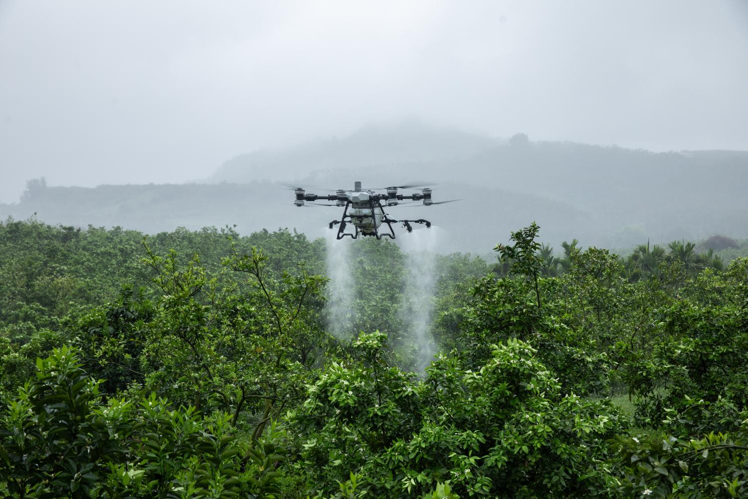 Thumbnail for DJI Agras T100 Sets a New Benchmark in Agricultural Drone Power