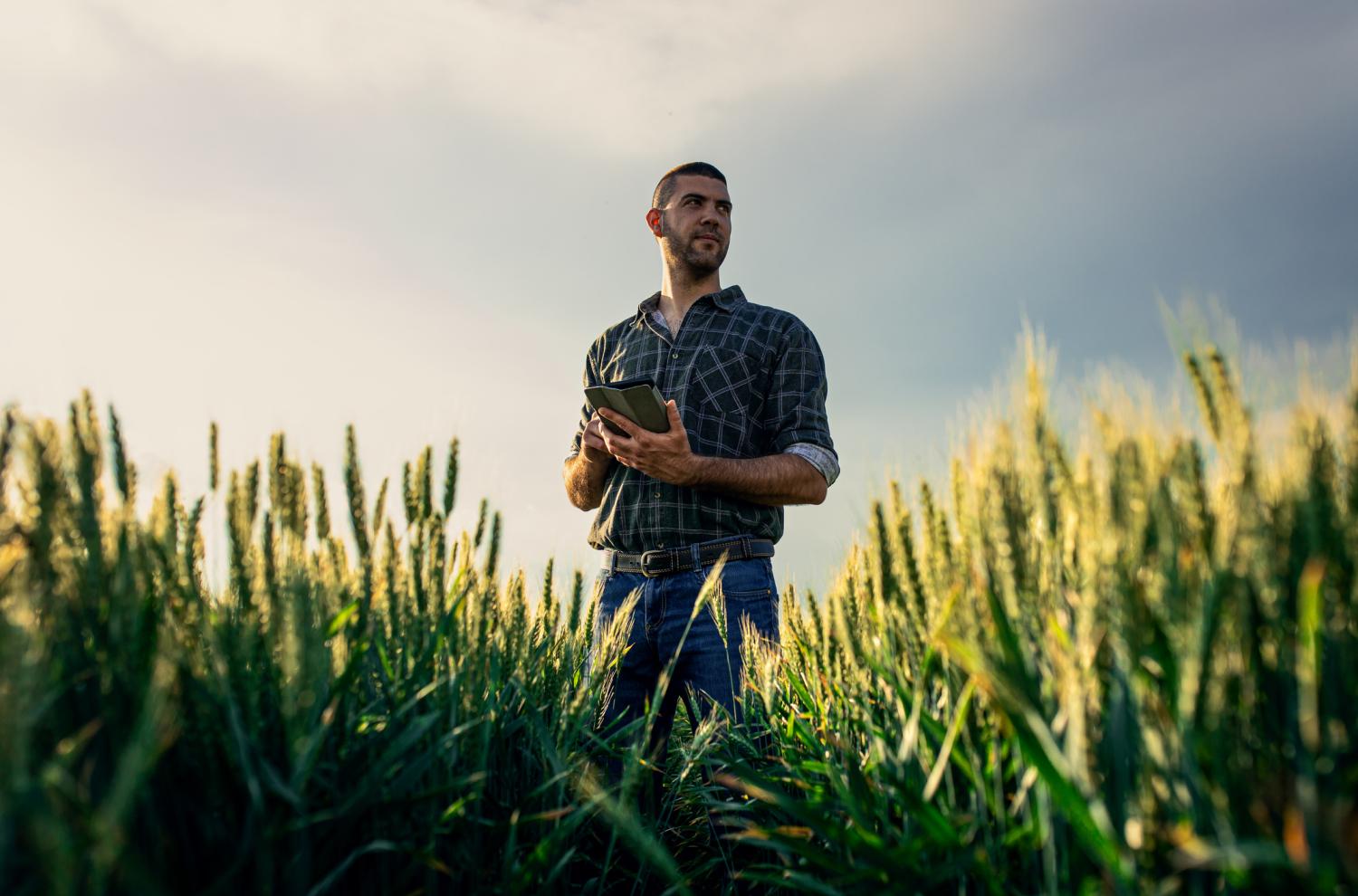 Thumbnail for Claiming a $20,000 asset write-off for your farming business